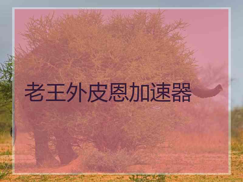 老王外皮恩加速器