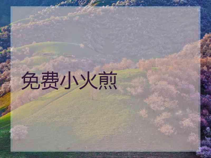 免费小火煎