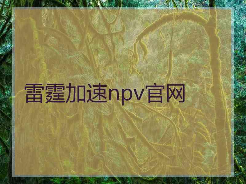 雷霆加速npv官网