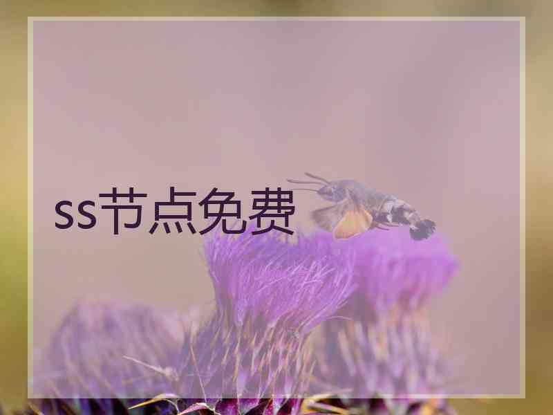 ss节点免费