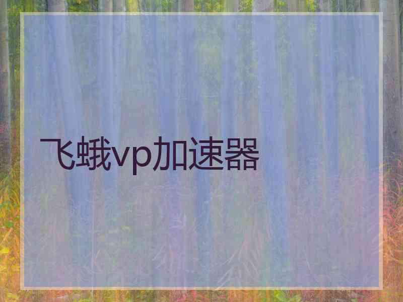 飞蛾vp加速器