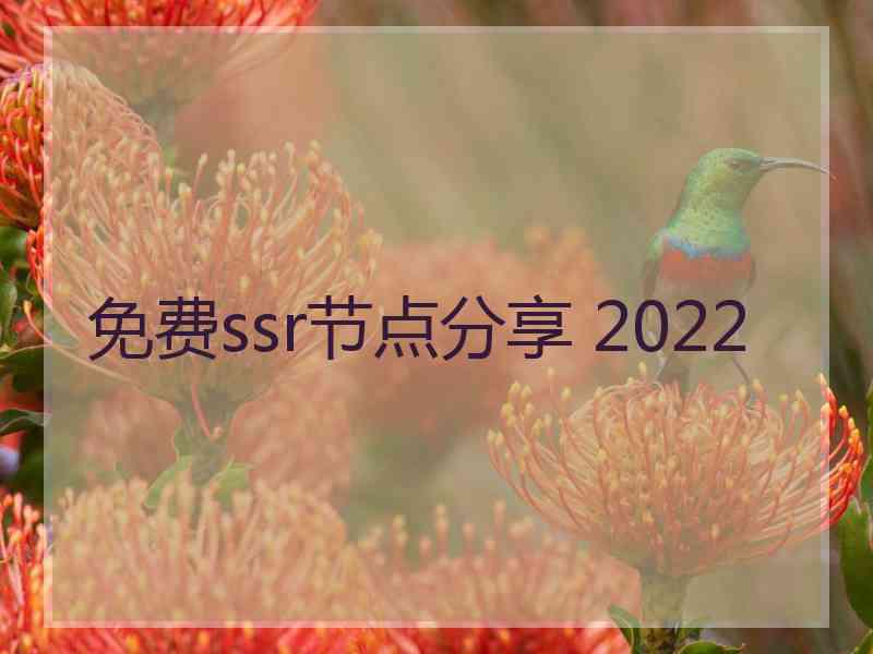 免费ssr节点分享 2022
