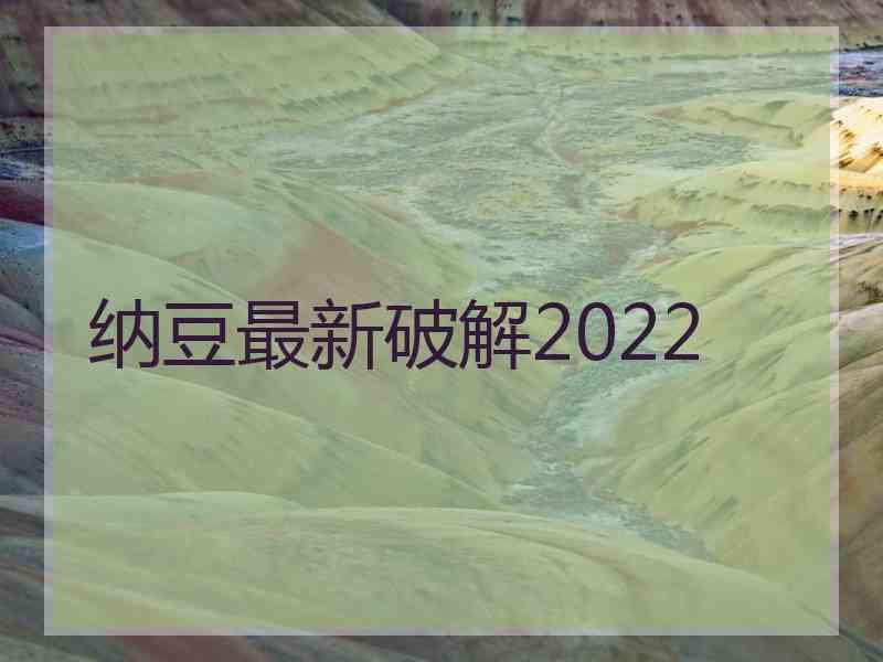 纳豆最新破解2022