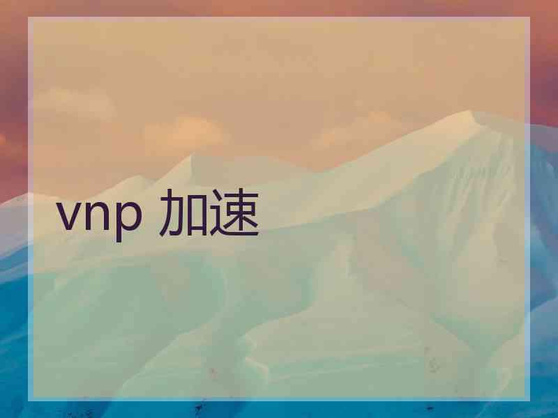 vnp 加速