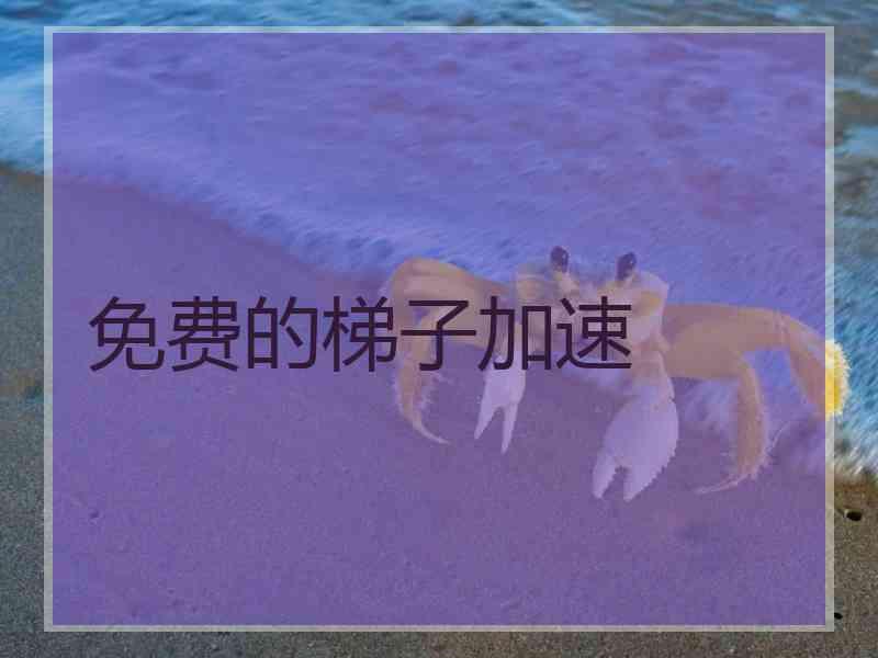 免费的梯子加速