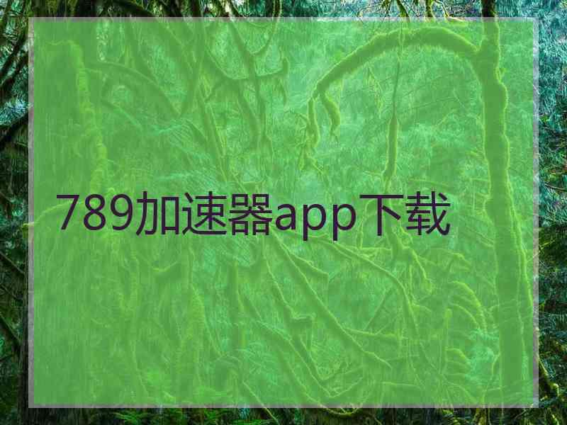 789加速器app下载