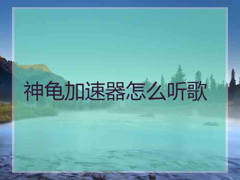 神龟加速器怎么听歌