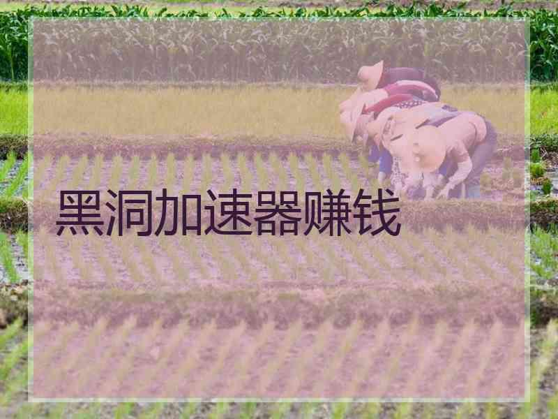 黑洞加速器赚钱
