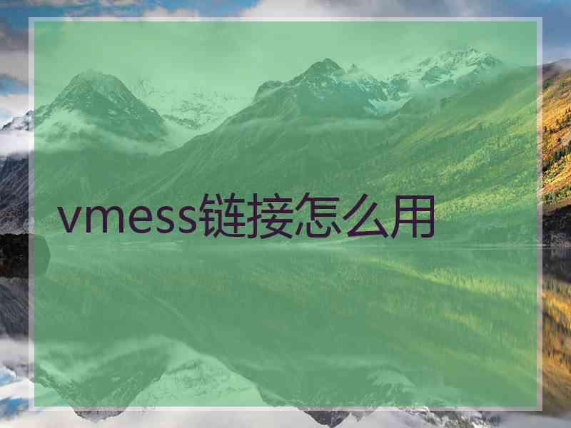 vmess链接怎么用