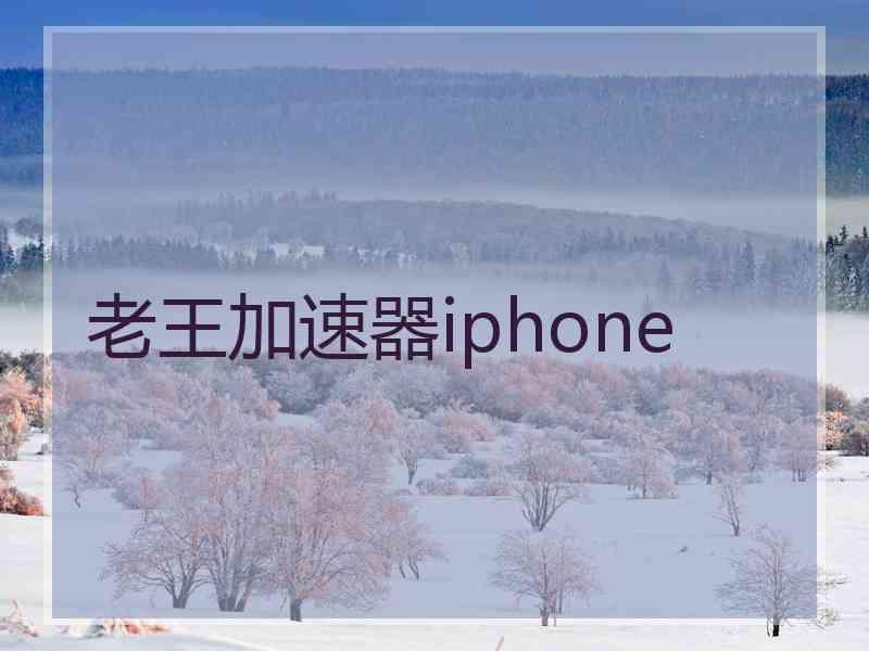 老王加速器iphone