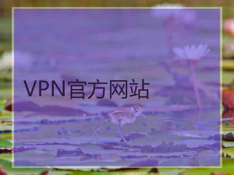 VPN官方网站