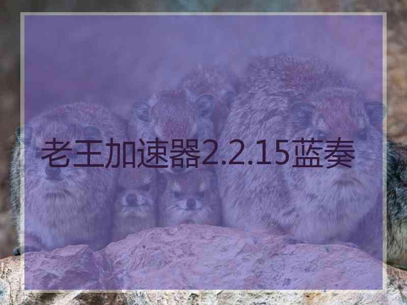 老王加速器2.2.15蓝奏