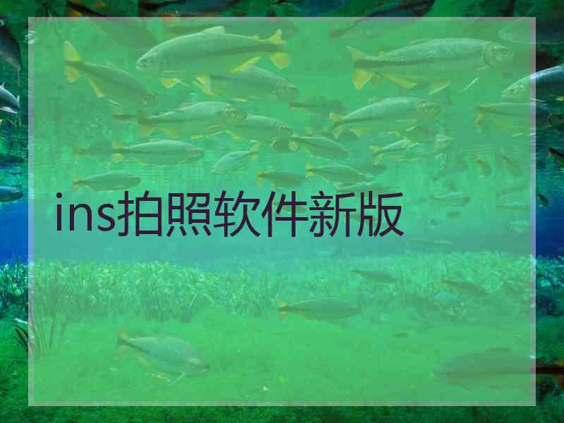 ins拍照软件新版