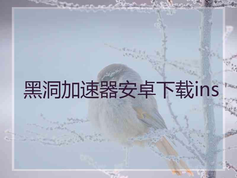黑洞加速器安卓下载ins