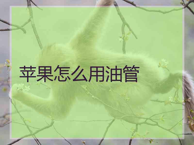 苹果怎么用油管