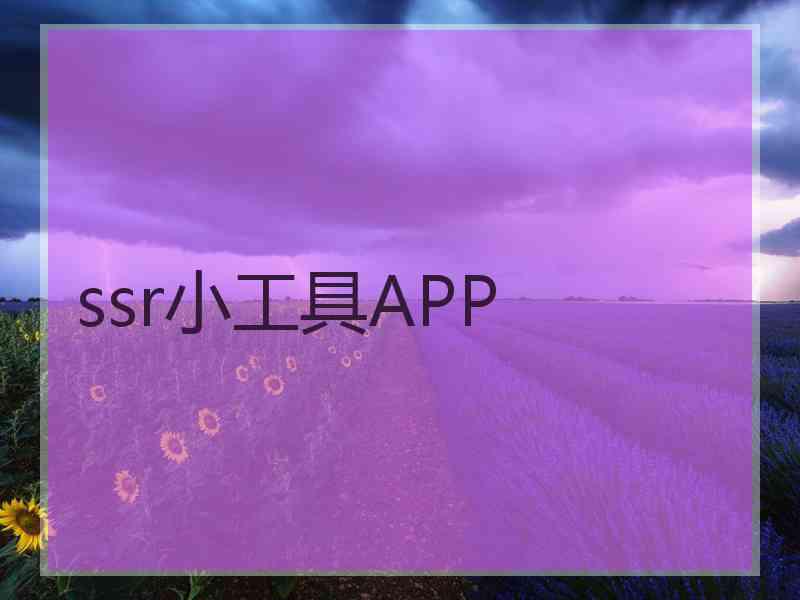 ssr小工具APP