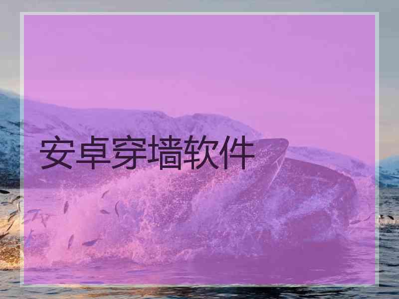 安卓穿墙软件