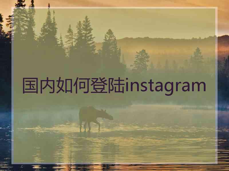 国内如何登陆instagram