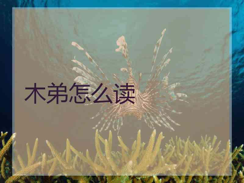木弟怎么读