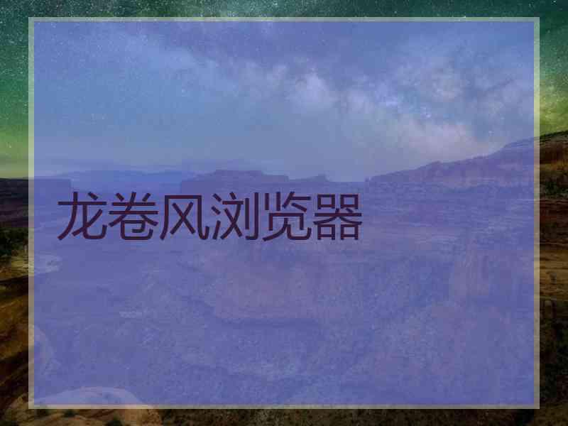 龙卷风浏览器