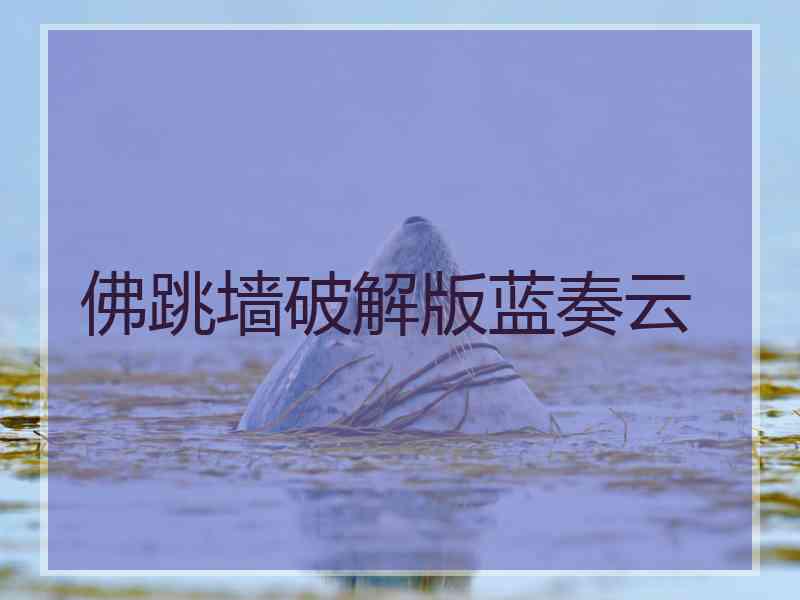 佛跳墙破解版蓝奏云