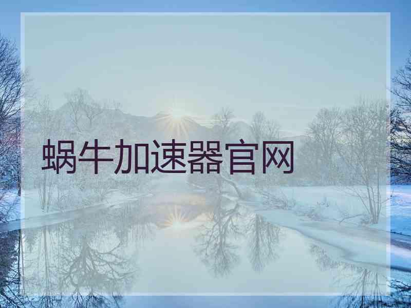 蜗牛加速器官网