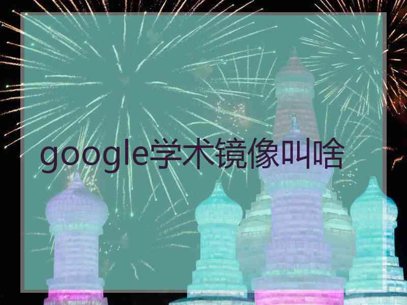 google学术镜像叫啥