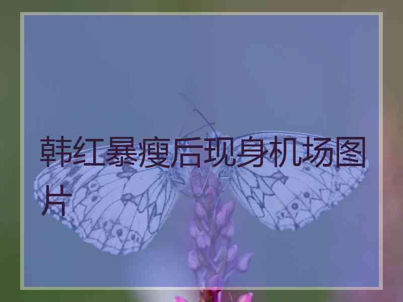韩红暴瘦后现身机场图片