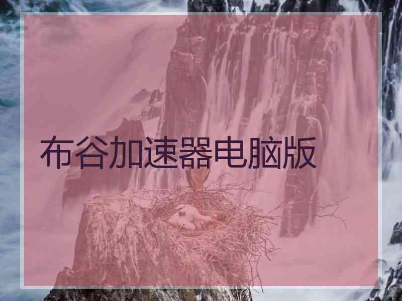 布谷加速器电脑版