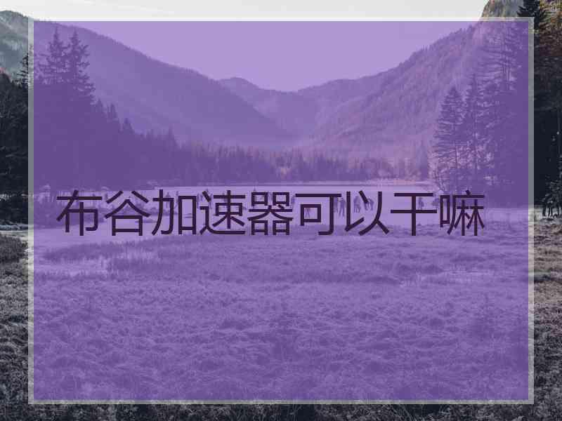 布谷加速器可以干嘛