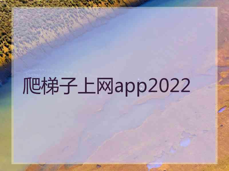 爬梯子上网app2022