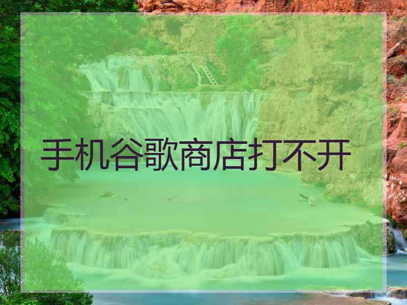 手机谷歌商店打不开