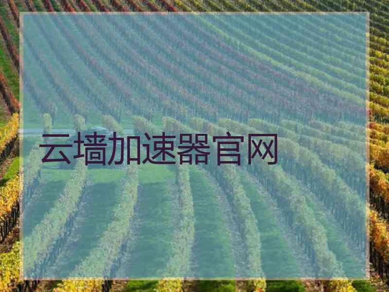 云墙加速器官网