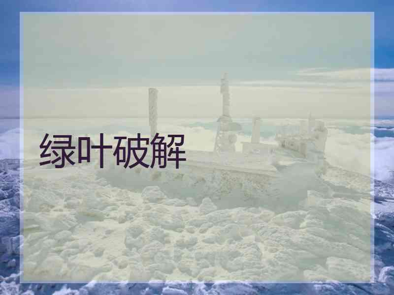 绿叶破解