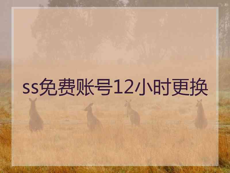 ss免费账号12小时更换