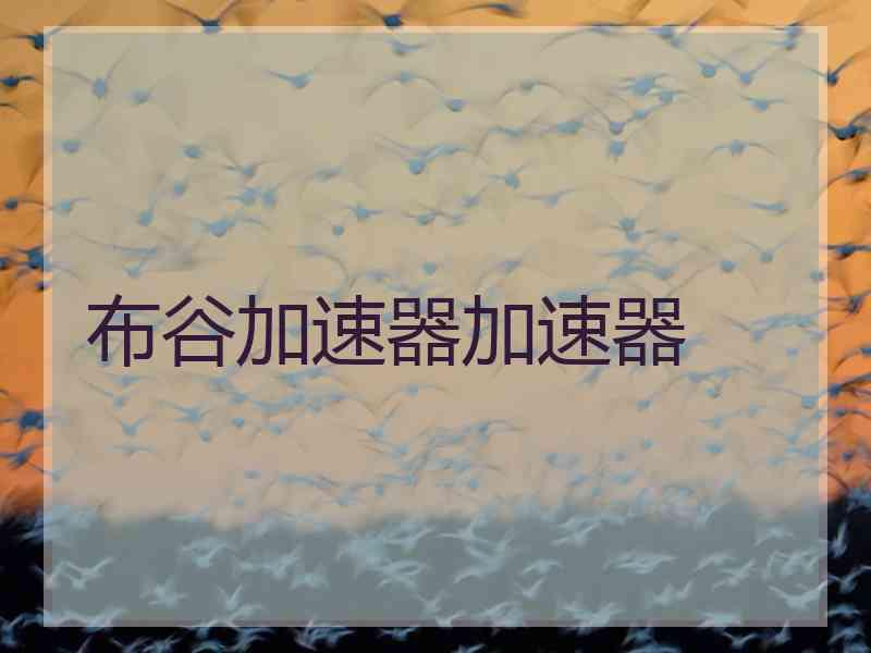 布谷加速器加速器