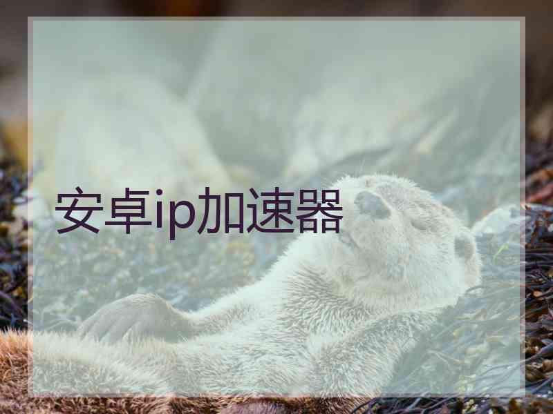 安卓ip加速器