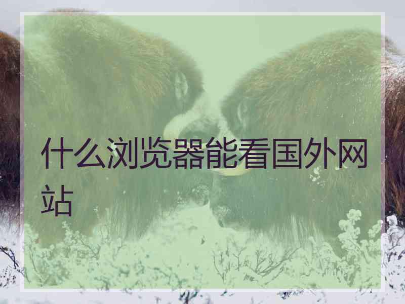 什么浏览器能看国外网站