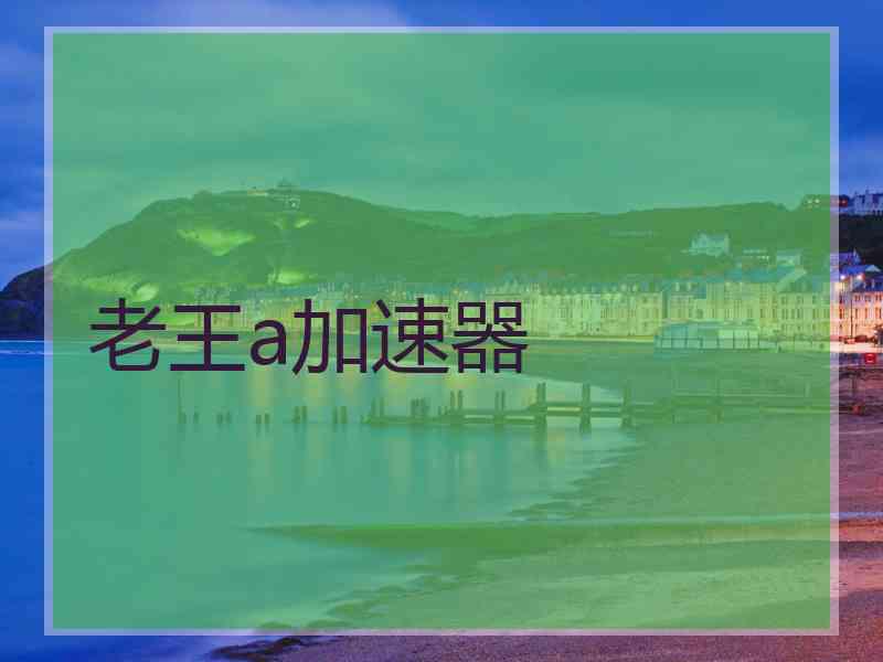 老王a加速器