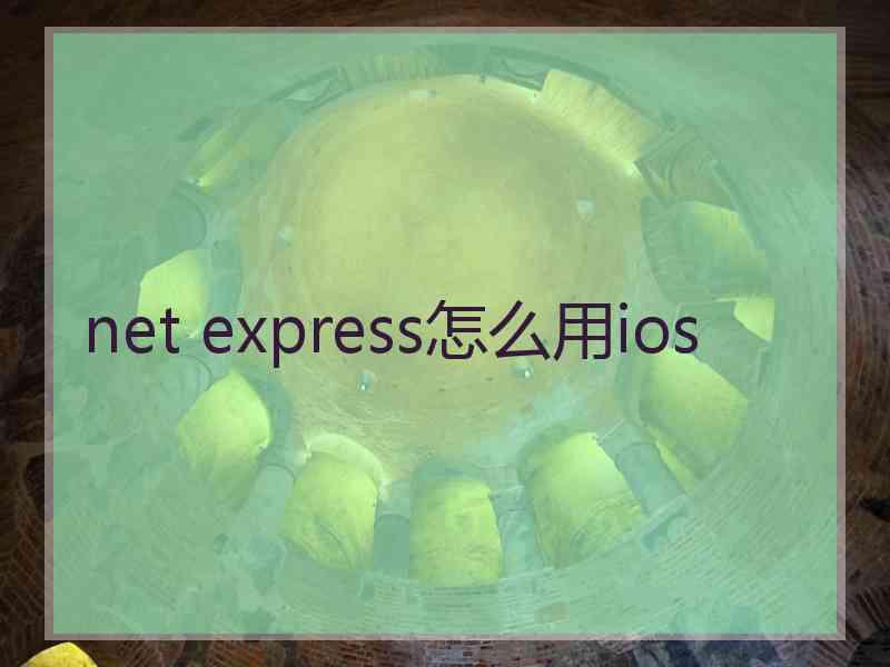 net express怎么用ios