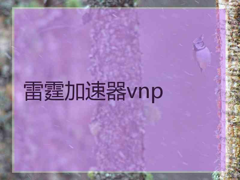 雷霆加速器vnp