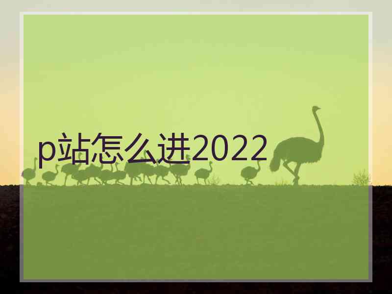 p站怎么进2022