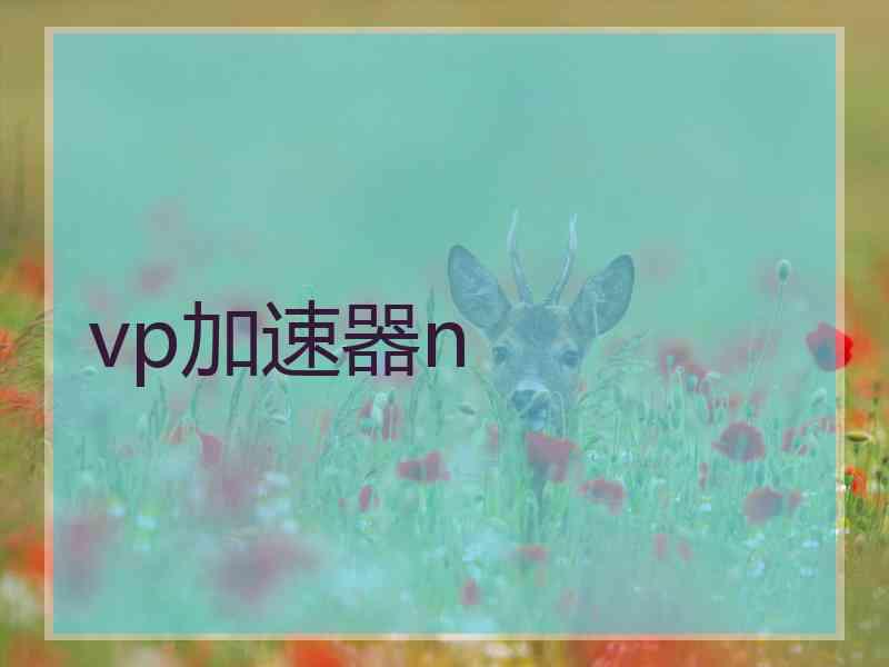 vp加速器n