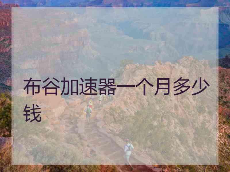 布谷加速器一个月多少钱