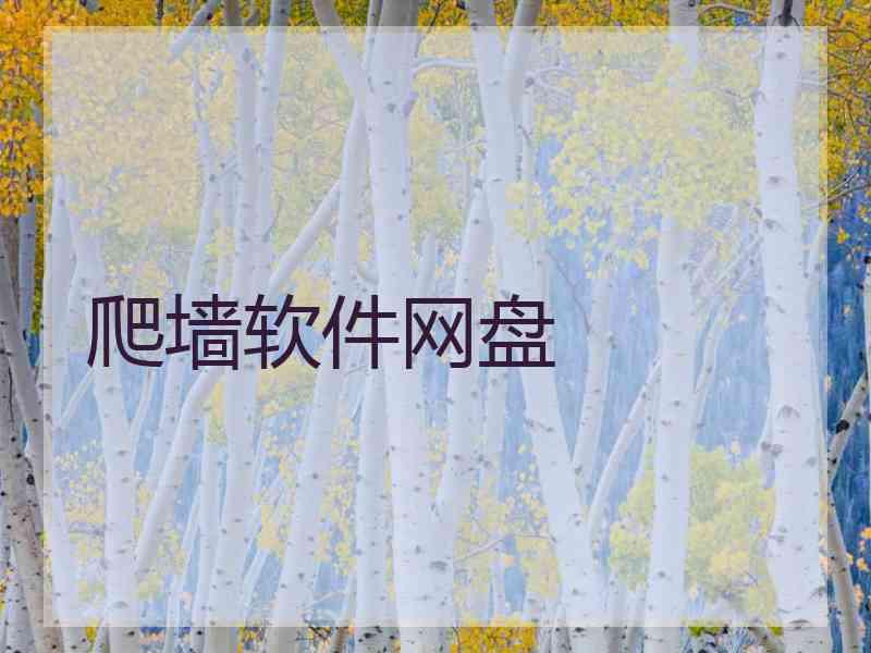 爬墙软件网盘