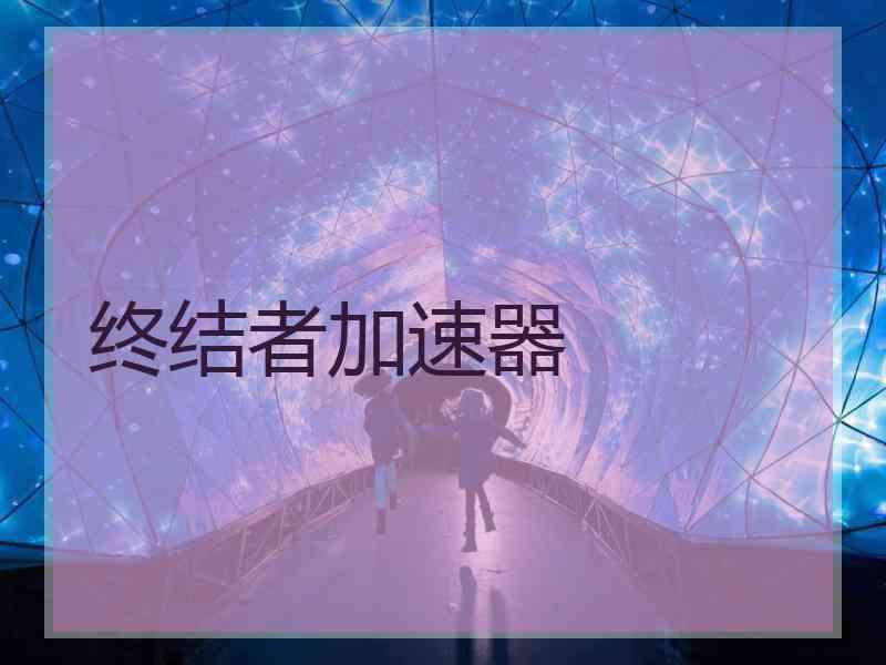 终结者加速器
