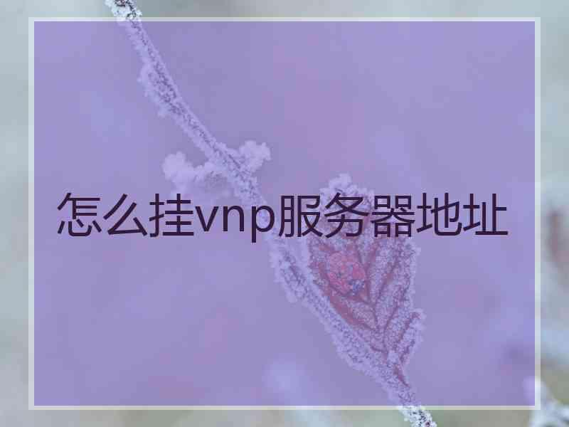 怎么挂vnp服务器地址
