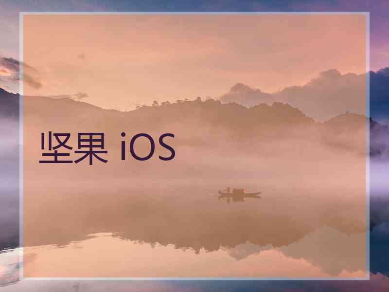 坚果 iOS
