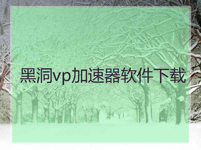 黑洞vp加速器软件下载
