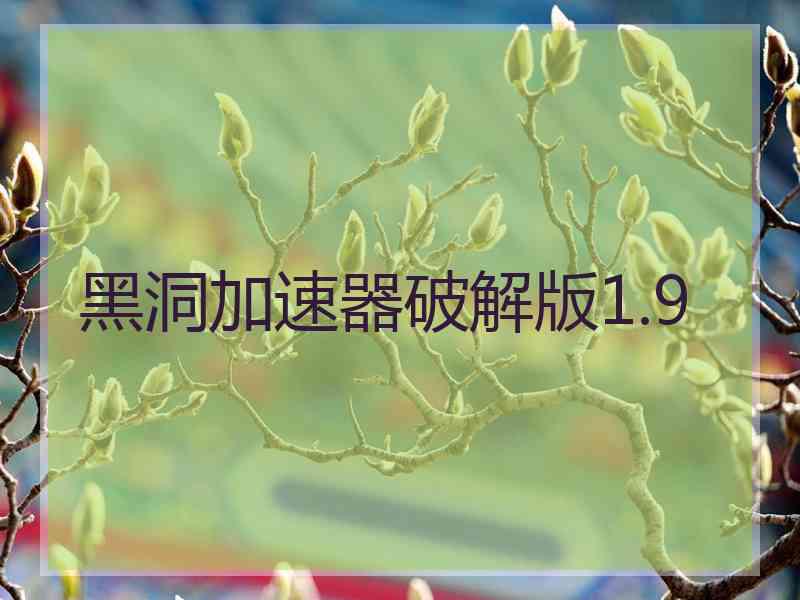 黑洞加速器破解版1.9